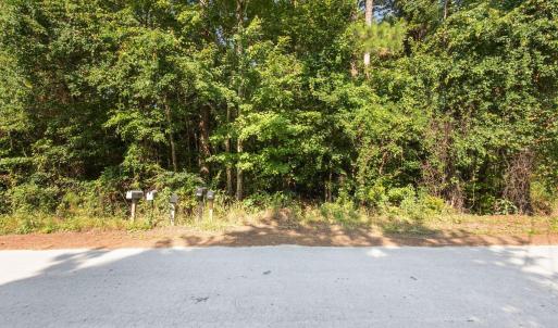 13-web-or-mls-P6245399