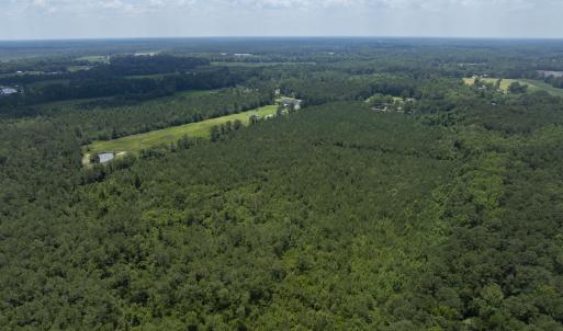 149 Futrell Road - Aerials - Edited_8