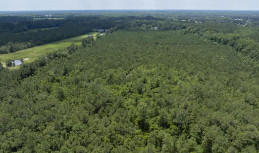 149 Futrell Road - Aerials - Edited_11