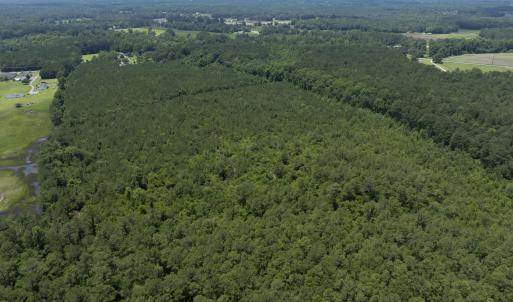 149 Futrell Road - Aerials - Edited_9