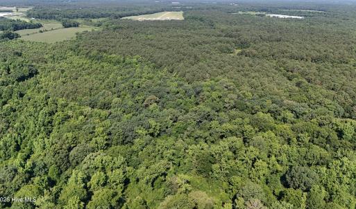 DJI_20250627095628_0112_D