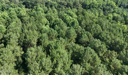 DJI_20250627100153_0124_D