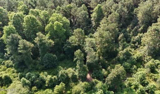 DJI_20250627094051_0082_D