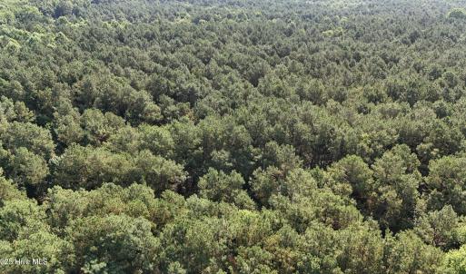 DJI_20250627094618_0091_D