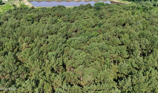 DJI_20250627094738_0094_D
