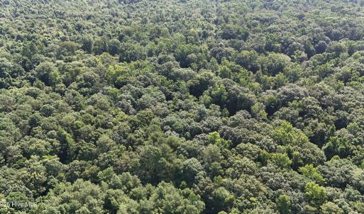 DJI_20250627095506_0110_D