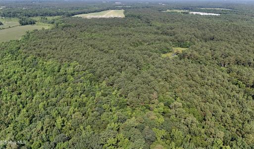 DJI_20250627095605_0111_D