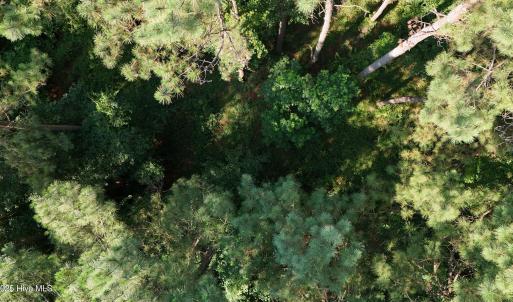 DJI_20250627100116_0119_D
