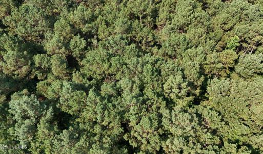 DJI_20250627100131_0120_D