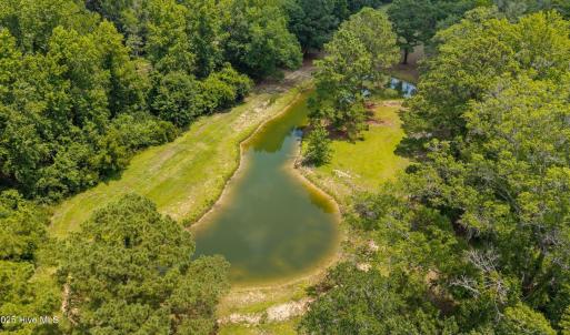 Pond View