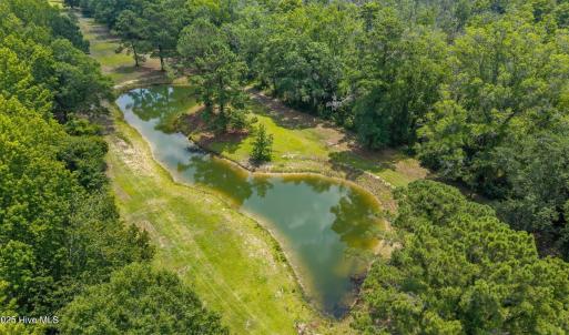 Another Pond View