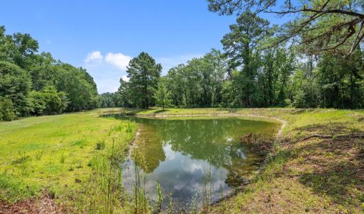 Pond on Property