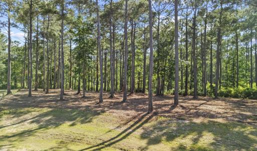 DJI_20250619163535_0528_D