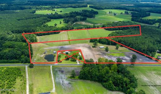 1-web-or-mls-pine level