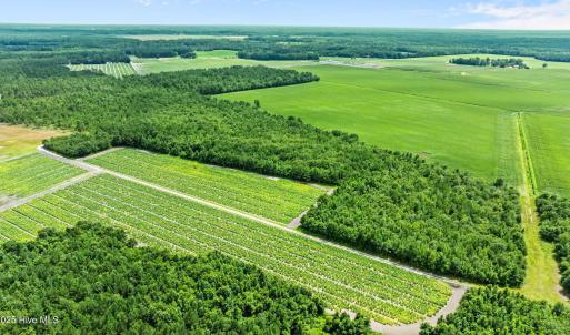 12-web-or-mls-DJI_0885