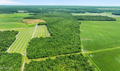 15-web-or-mls-DJI_0888