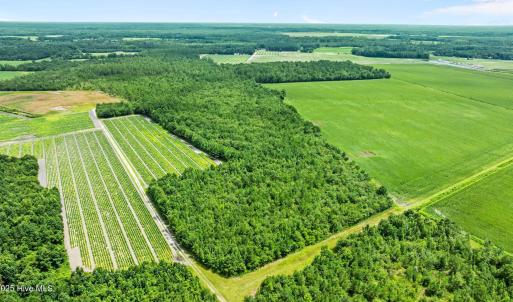 14-web-or-mls-DJI_0887