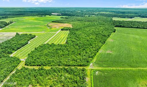 16-web-or-mls-DJI_0889