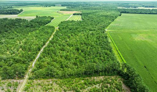 2-web-or-mls-DJI_0874