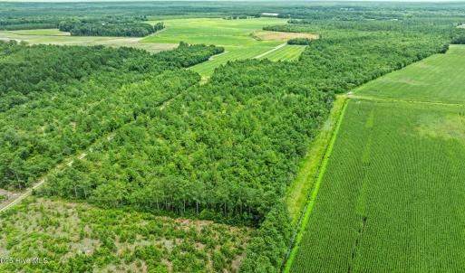 3-web-or-mls-DJI_0875