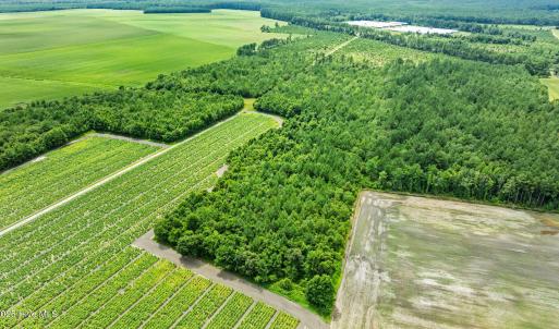 8-web-or-mls-DJI_0881