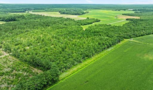 4-web-or-mls-DJI_0877