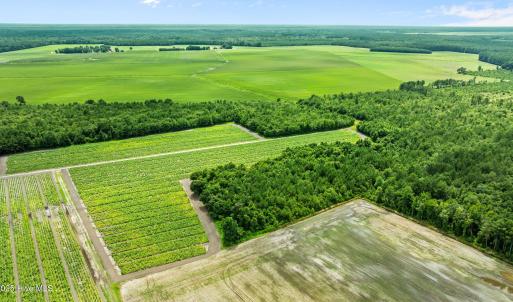 10-web-or-mls-DJI_0883