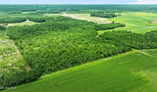 5-web-or-mls-DJI_0878