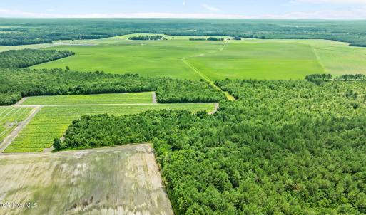 11-web-or-mls-DJI_0884