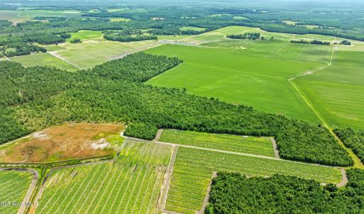 22-web-or-mls-DJI_0895