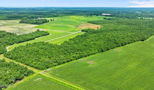 18-web-or-mls-DJI_0891