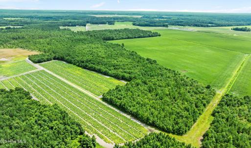 13-web-or-mls-DJI_0886