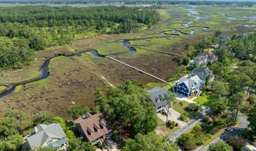 Gorgeous marsh savannah