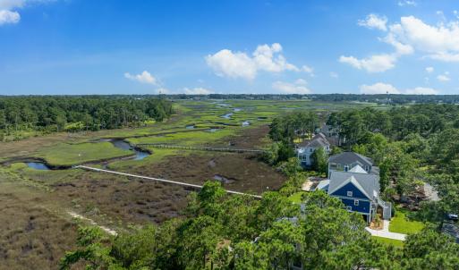 Marsh savannah in Tidal Beaver Creek