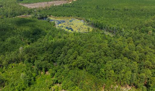 DJI_0160
