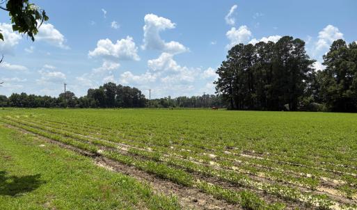 82083585-20E8-466D-9542-AA332EA69D4C