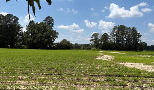 98406FB5-7D36-42CF-802A-8ED6A345A892