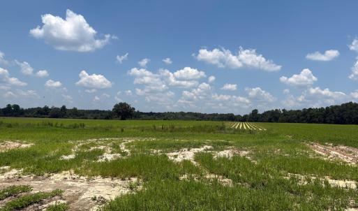 84EAF914-138A-4601-A3C1-FA9D6AF0991C