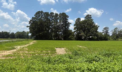 CE667009-72AB-4173-902D-596F3BF09E62