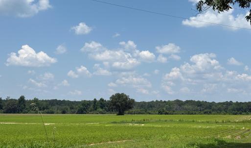 61C1776E-921C-4AD0-A030-1F9BB60F1B2E