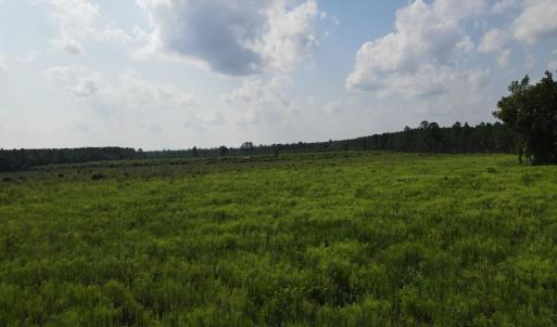 DJI_0971