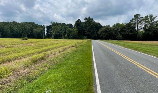 Fire Tower Road 7
