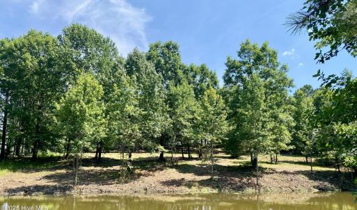 view from across the lake