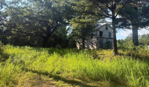 view from driveway side of cleared porti