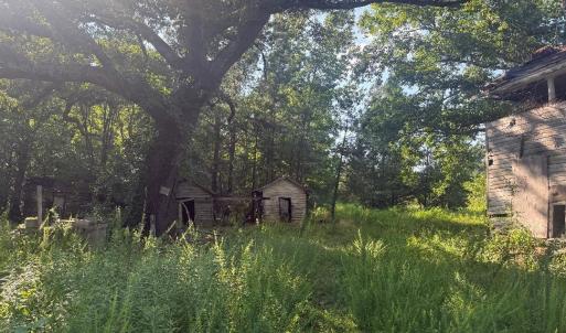 view from road, left side of uninhabitab