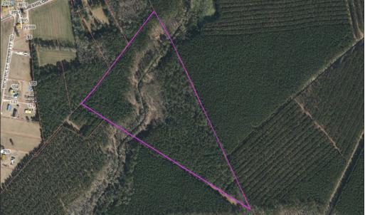 Image 7-12-25 at 12.59PM