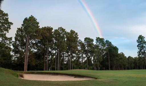 golf course foxfire