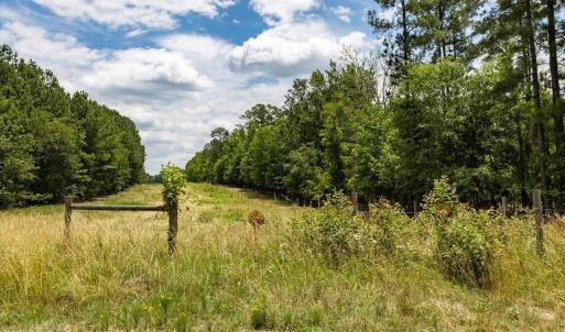 30-030-Chatham-Parcel-17778-JBMorgan-202