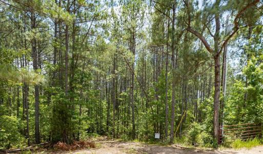 36-036-Chatham-Parcel-17778-JBMorgan-202