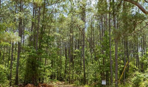 37-037-Chatham-Parcel-17778-JBMorgan-202